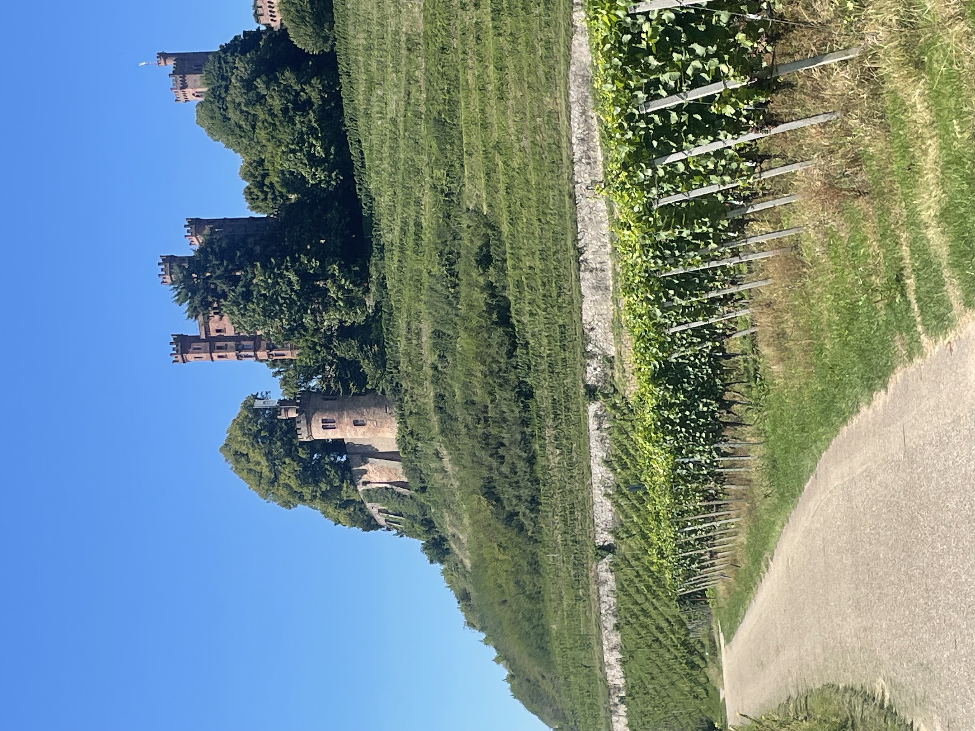 Bannwabenverfahren